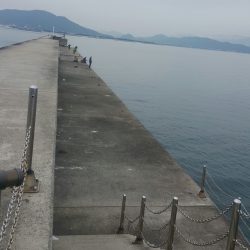 カレイは釣れず…