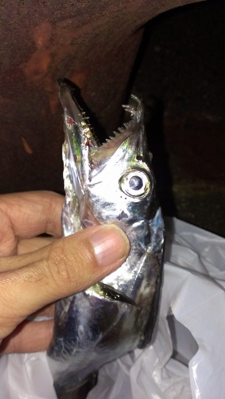 数出なけりゃ型も伸びず