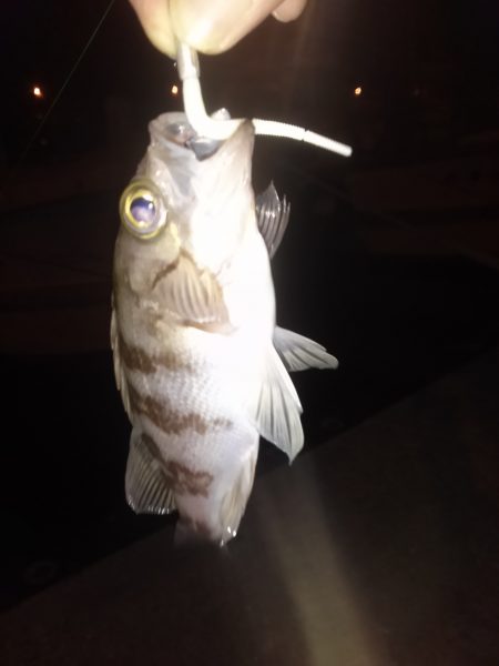 サイズは小さいけど満足