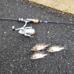 アジング＆メバリング