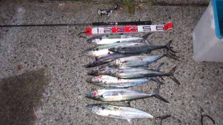 矢原：サゴシ祭り！