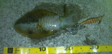 寒くなってきましたね