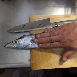 お願いだから・・・