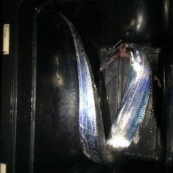 Get it back ! （奪還せよ！！）