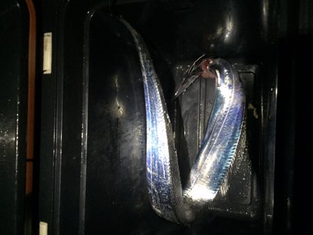 Get it back ! （奪還せよ！！…