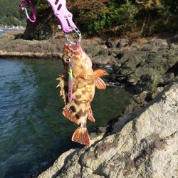 エギングロッドでショアジギング