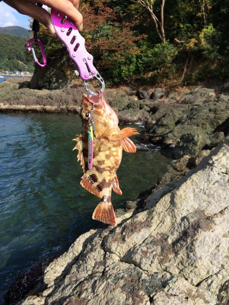 エギングロッドでショアジギング