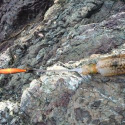 ちょっと成長？