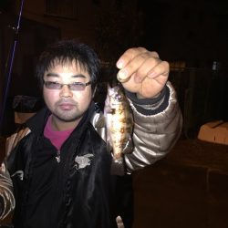 アジング？　メバリング！