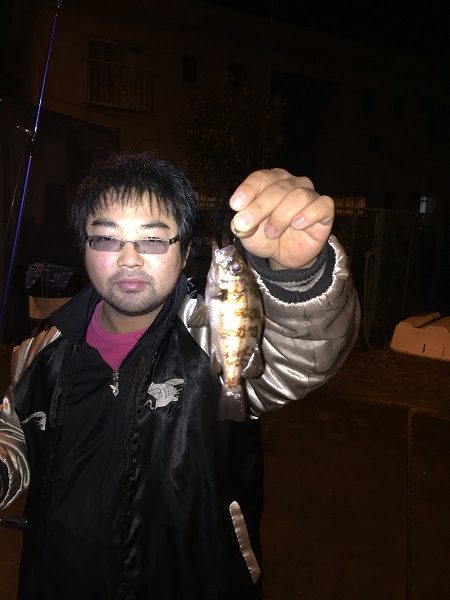 アジング？　メバリング！