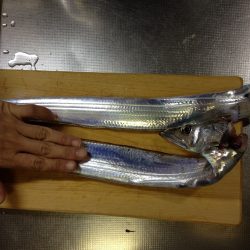 2度めのウキ釣り