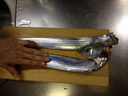 2度めのウキ釣り