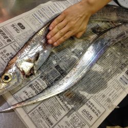 満足