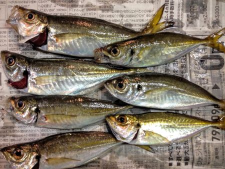 夜中まで粘りましたが...