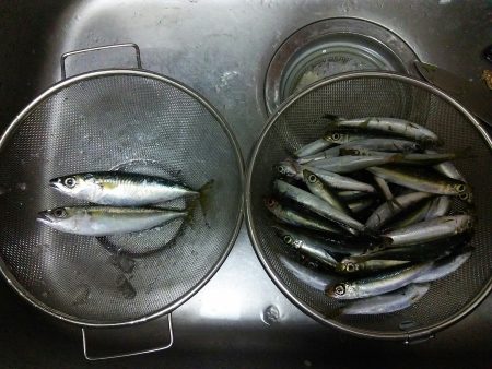 ちょっと浮気釣り