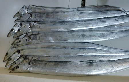 プチラッシュは手返し命