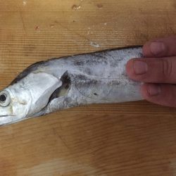 また薄々やわ～