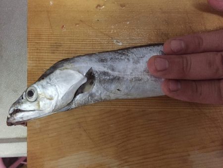 また薄々やわ～