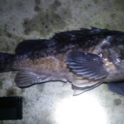 狙いとは違うが