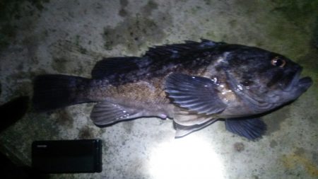 狙いとは違うが