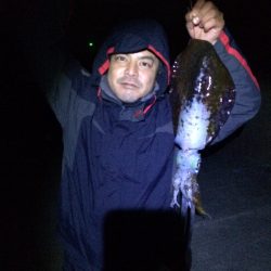 夜中1:30に1キロ  アオリイカ