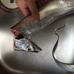 周囲もそこそこ