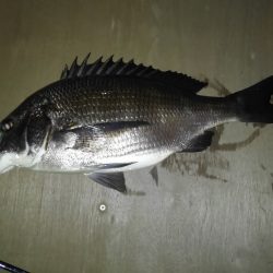 やったりました〜!