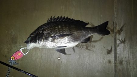 やったりました〜！