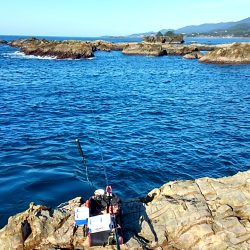田並の磯でグレ釣り