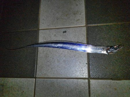 タチウオ釣行　最終