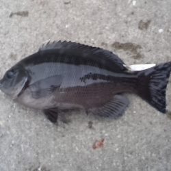 いい場所入れたのに！