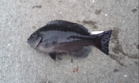 いい場所入れたのに！