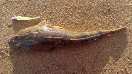 かぶと山公園にて