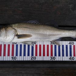 久美浜公園にて