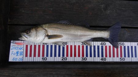 久美浜公園にて