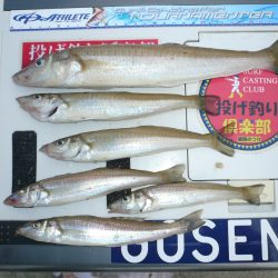 ラスト都志で尺ギスゲット