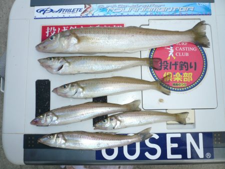 ラスト都志で尺ギスゲット