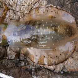 久々の平日釣行