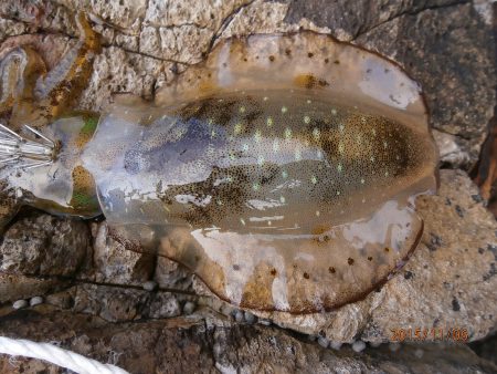 久々の平日釣行