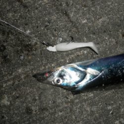 二連戦　　パート１