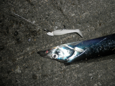 二連戦　　パート１