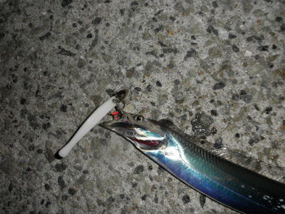 二連戦　　パート２