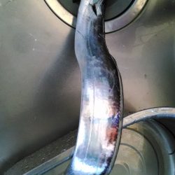 大津川尻にて朝太刀魚