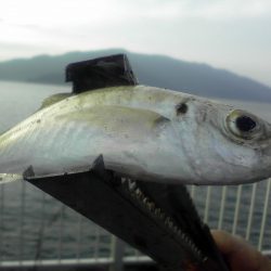 静かな、静かすぎる海でした。。。