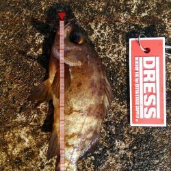 ミップル周辺で