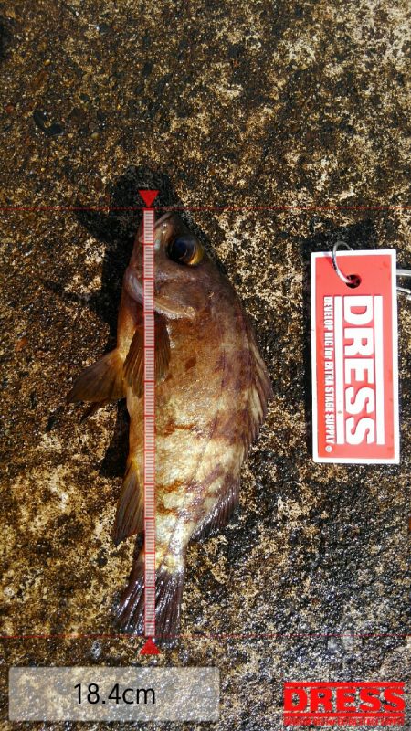 ミップル周辺で