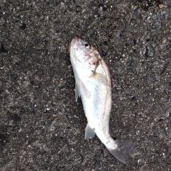 満喫とはいかず…