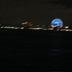 夕まずめタチウオ