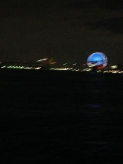 夕まずめタチウオ