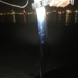 タチウオ ワインド